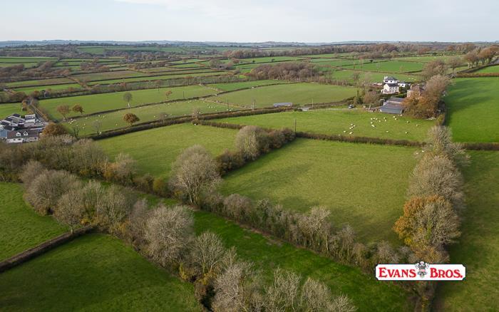 DJI_0918.jpg