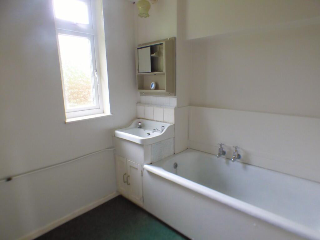 P1160984  Medium  T202503131252.jpg