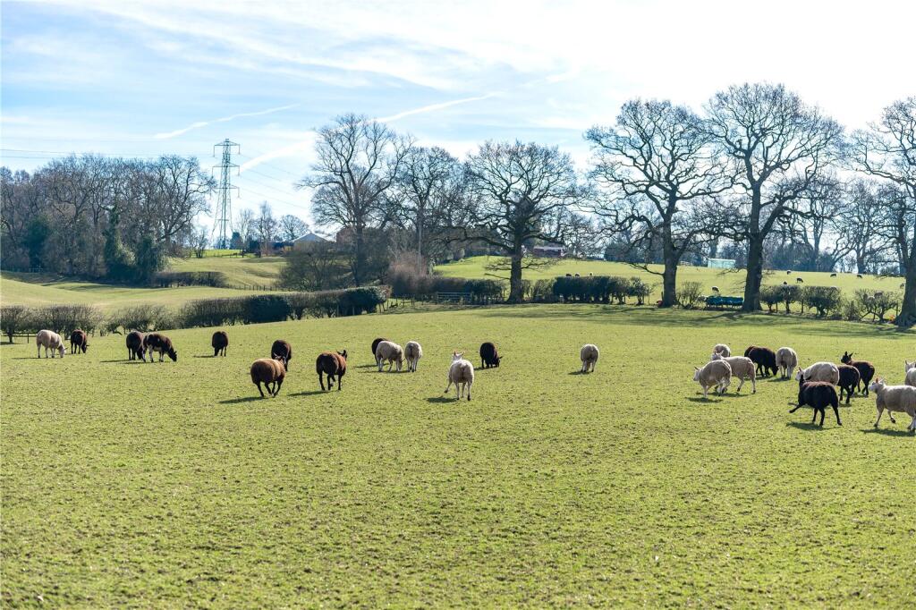 Adjoining Fields