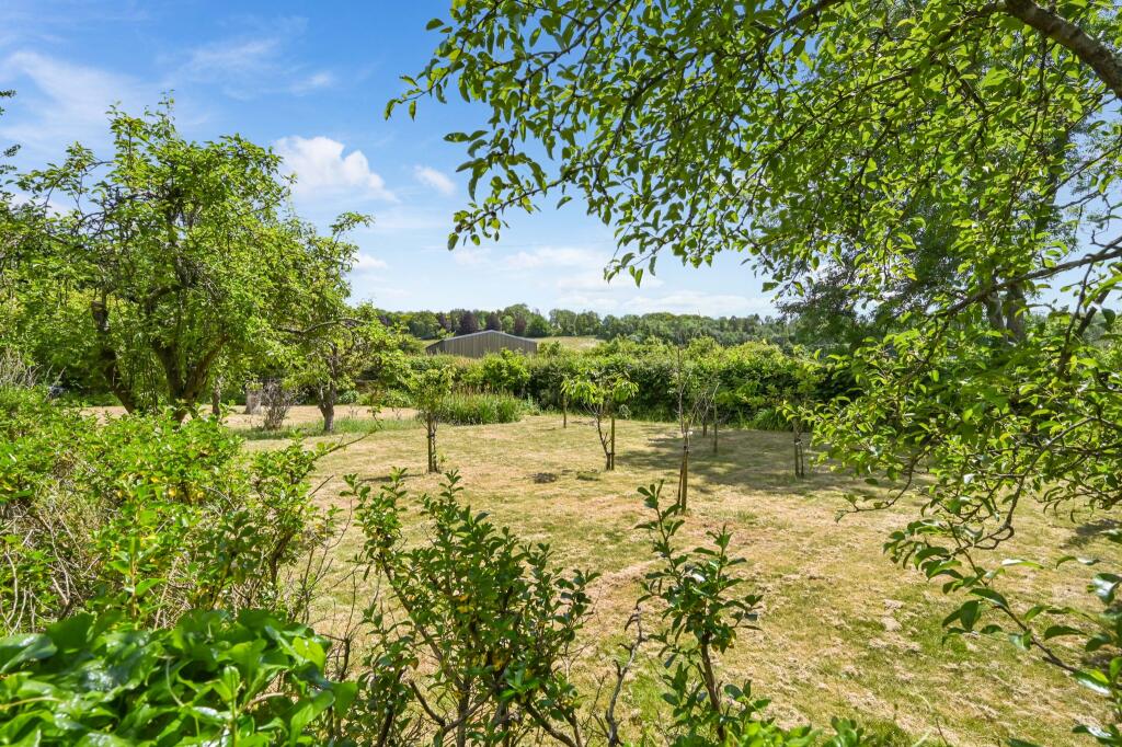 Front Garden - Orchard