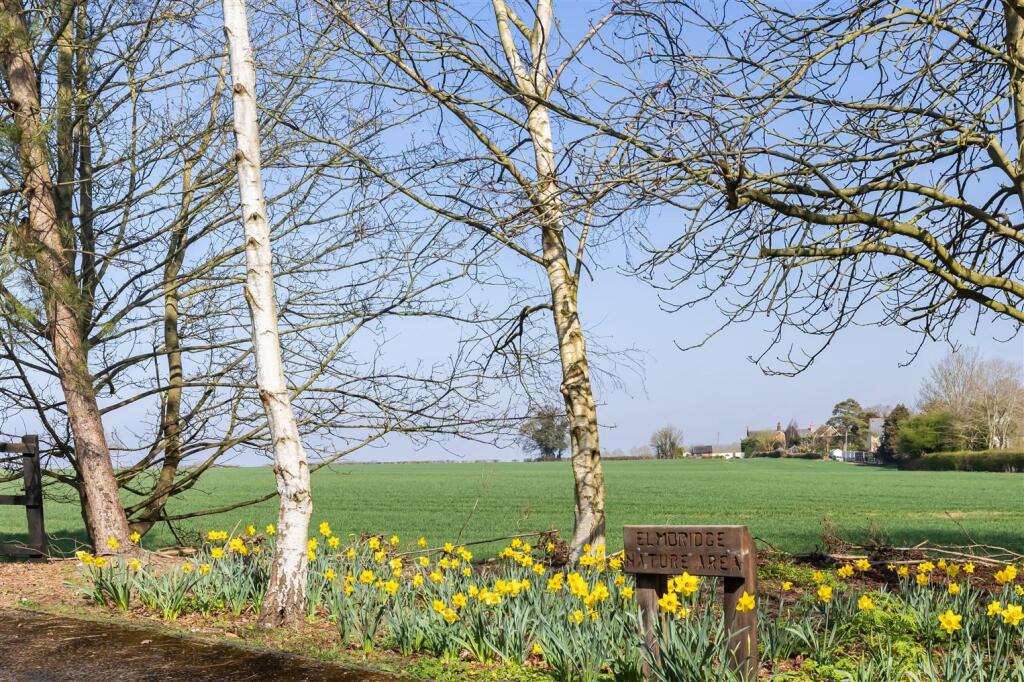 12 Forest Dr (38).jpg