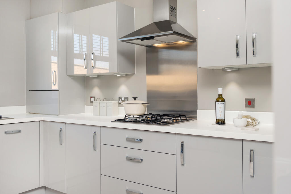 Elder_LNE-TASP-20-0017