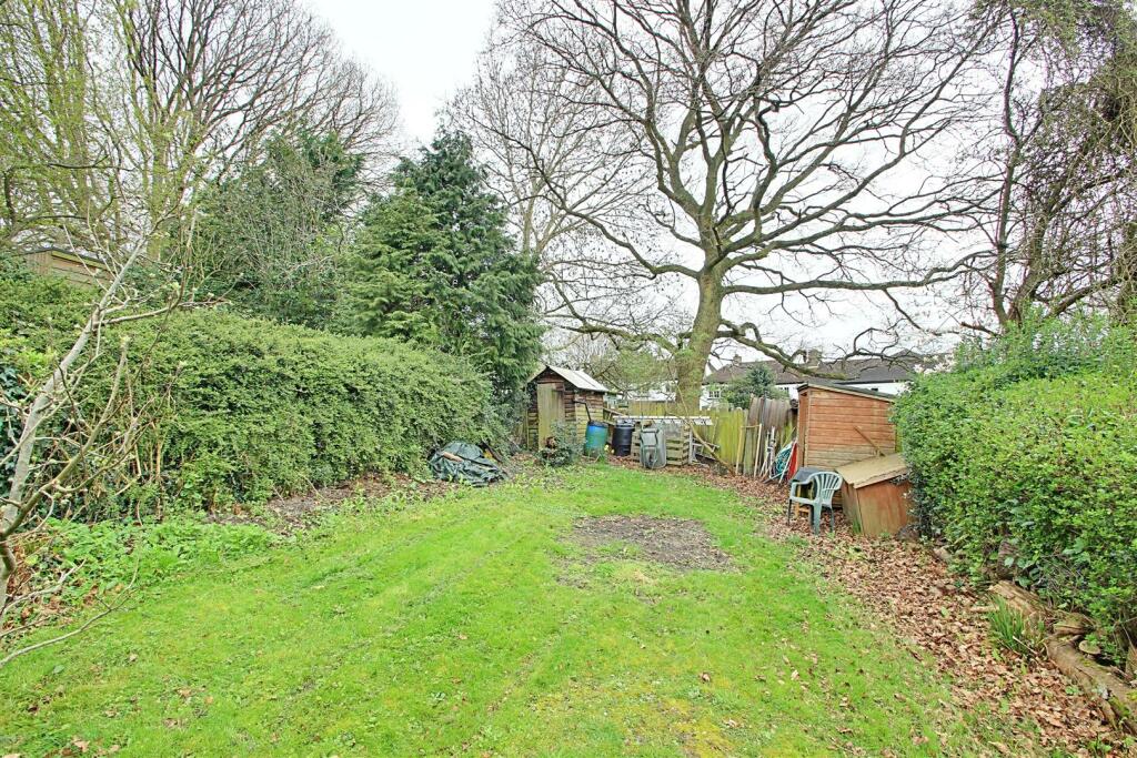Garden 4.jpg