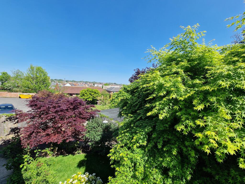 Rear Garden-angle 5