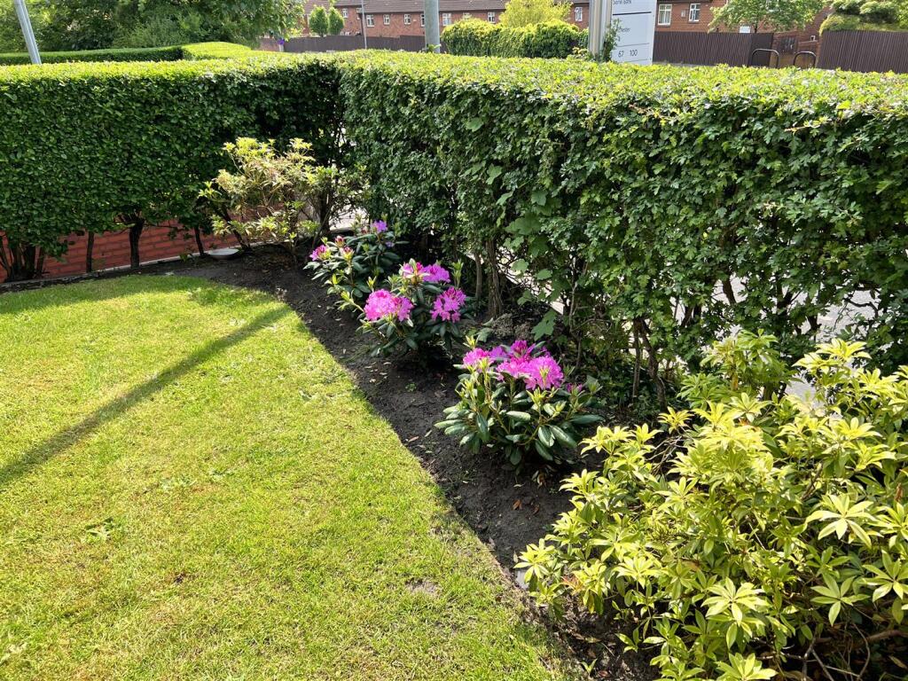 Communal garden