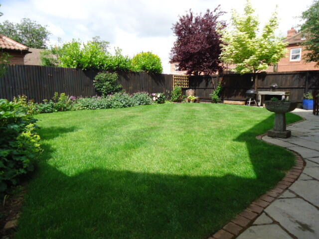 Rear Garden2.JPG