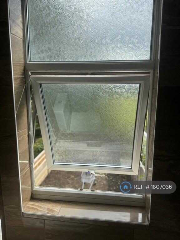Bathroom Window