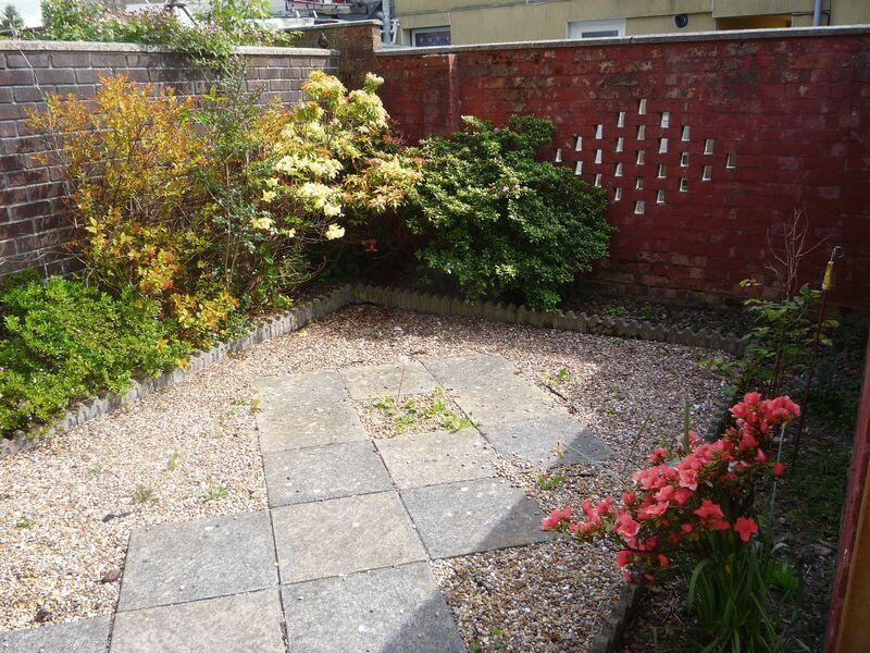 Rear Courtyard Garden