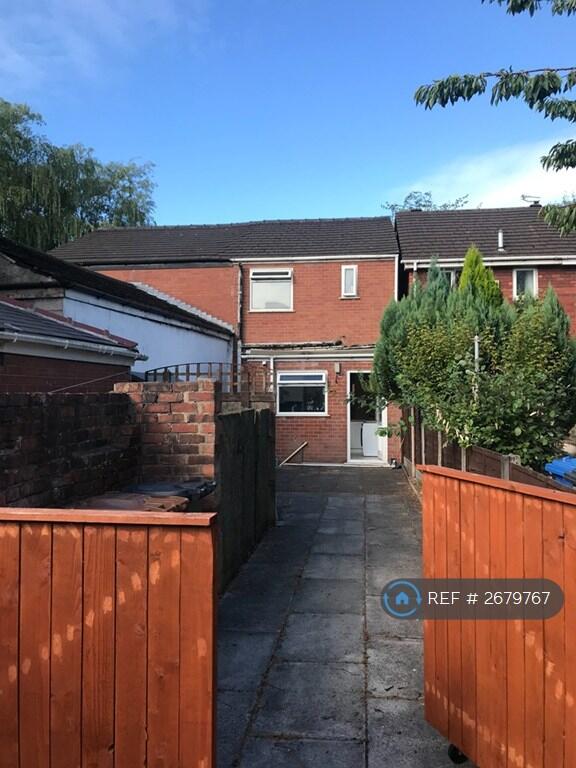 Back Garden