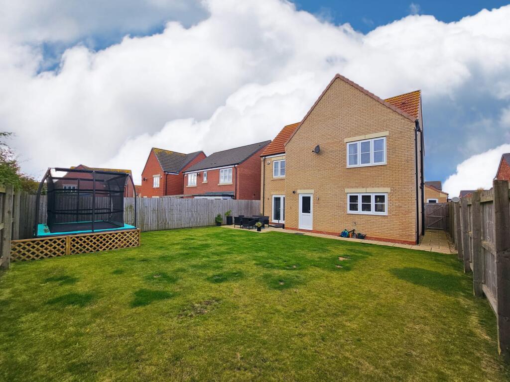 8493d529-e9d5-447d-bde7-0a0412914383