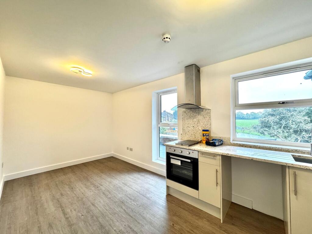 Living / Kitchen Area