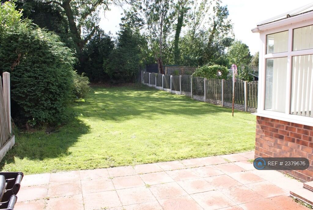 Back Garden