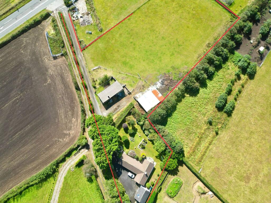 Paddock/Land