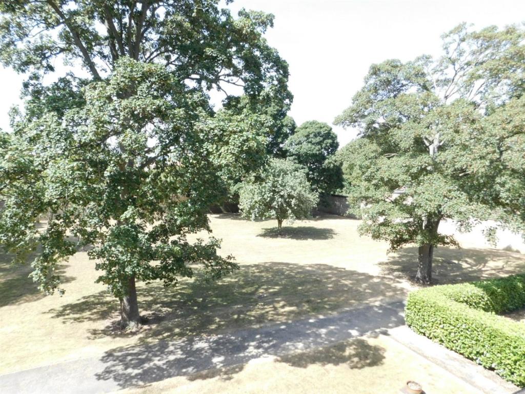 Views from the property