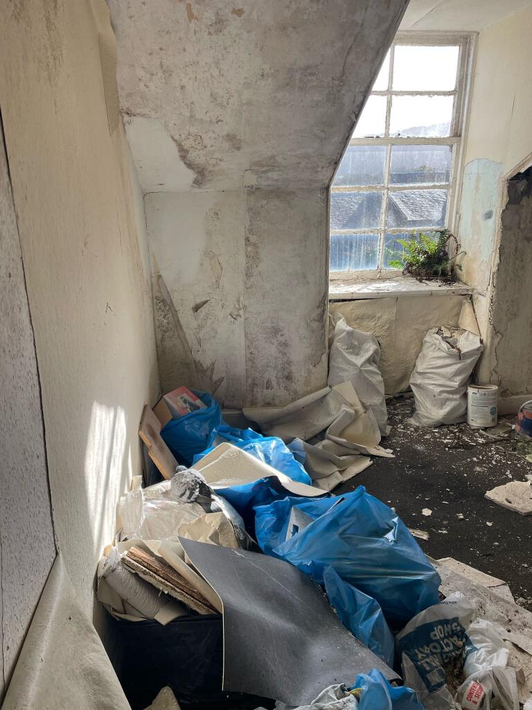 IMG 2429 T202502252145.jpg