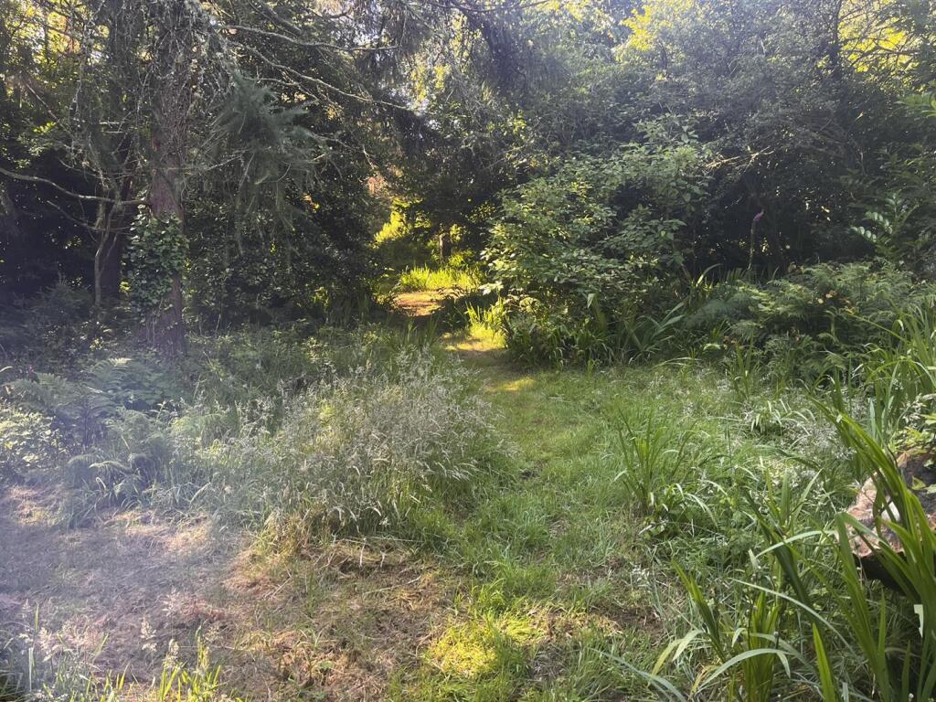 IMG_1607.JPEG