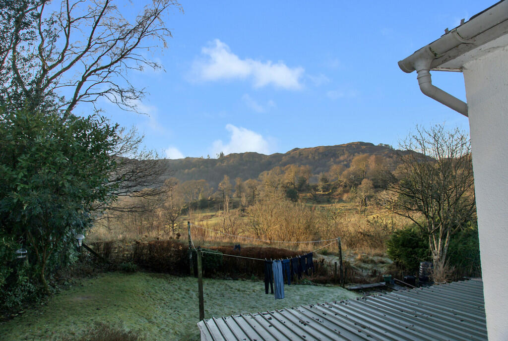 Communal Garden 