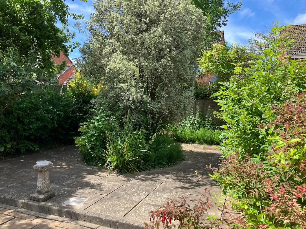 GARDEN 