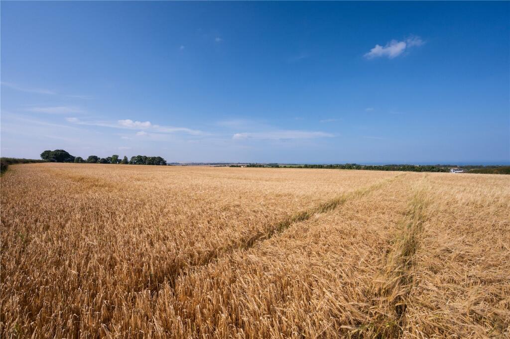 Lot 1 - Farmland