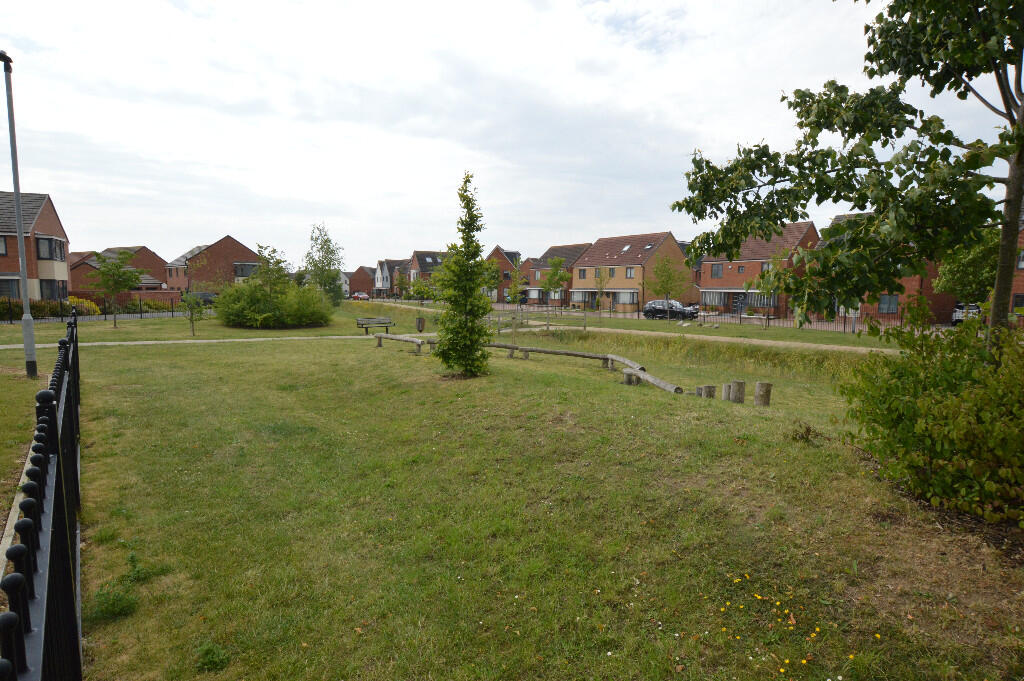 Edge of Development