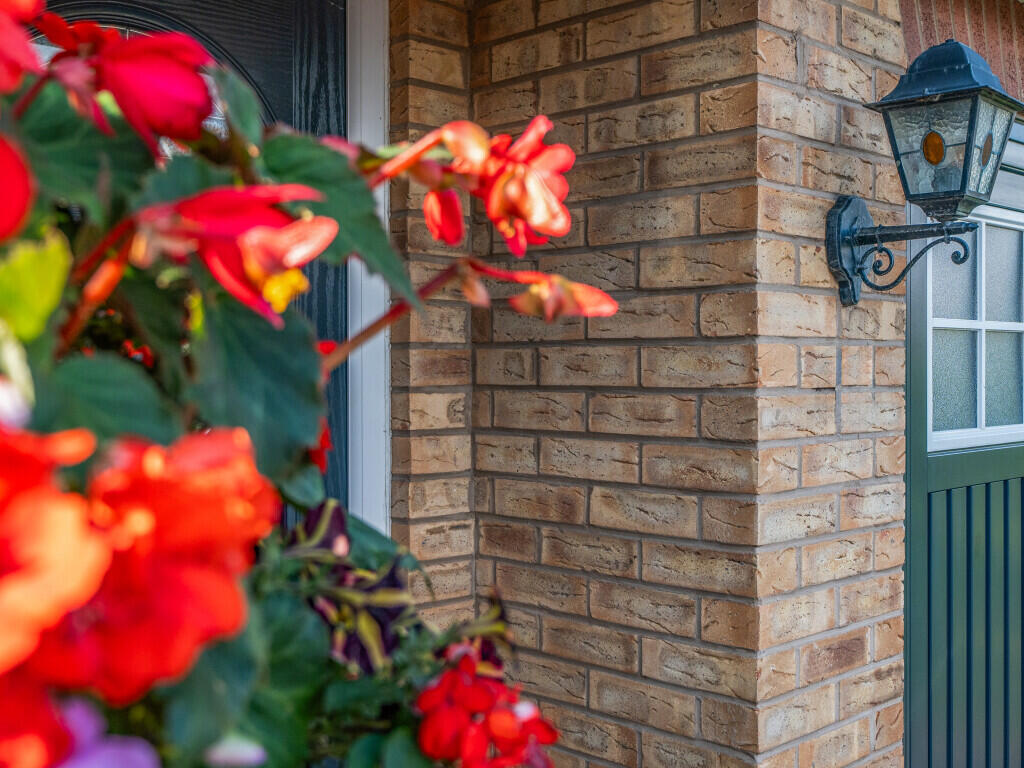 1354191-2-68c4451...