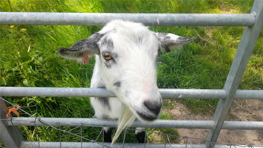 Current Tenant!