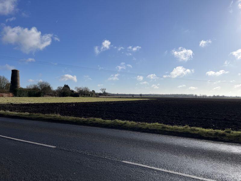 Open field views