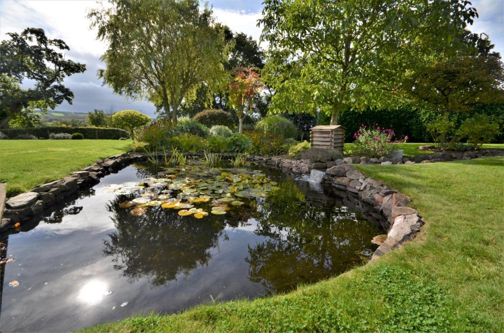 Seddons - Crediton