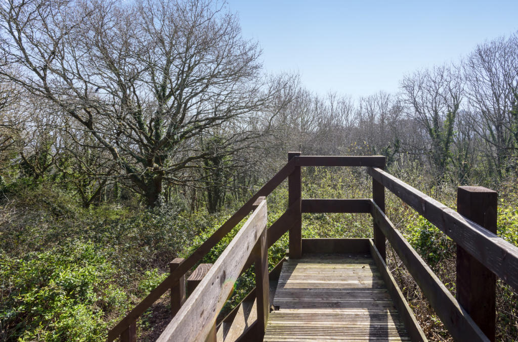 Access To Woodland