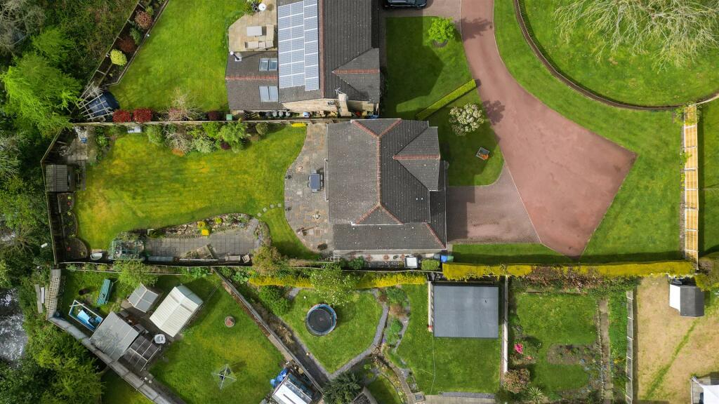 Birdseye