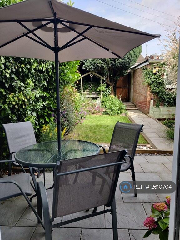 Back Garden