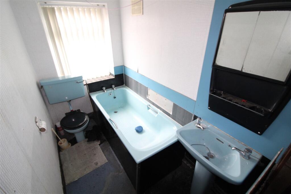 IMG 5919  Medium  T202508011610.jpg