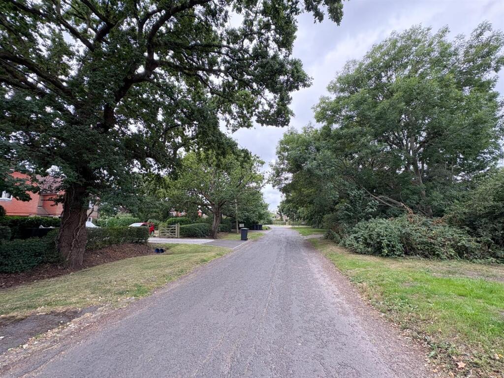 Road.jpg