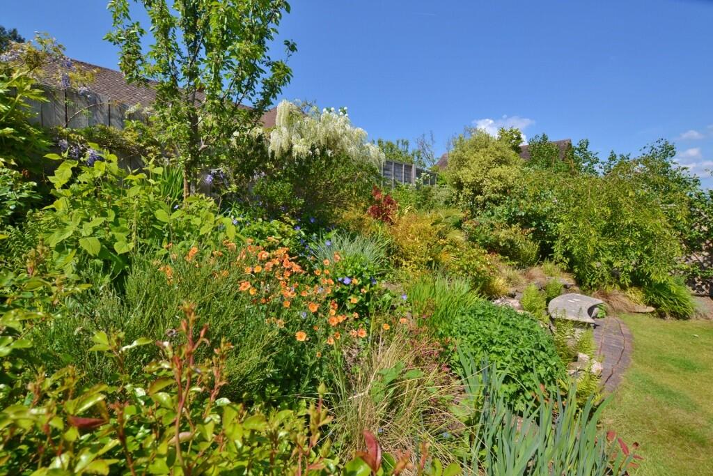 DSC_1025 (1024x68...