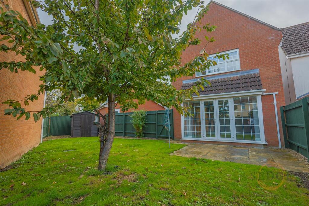 4 mallard close -16.jpg