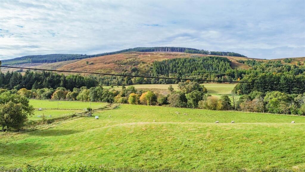 DJI_0164.jpg