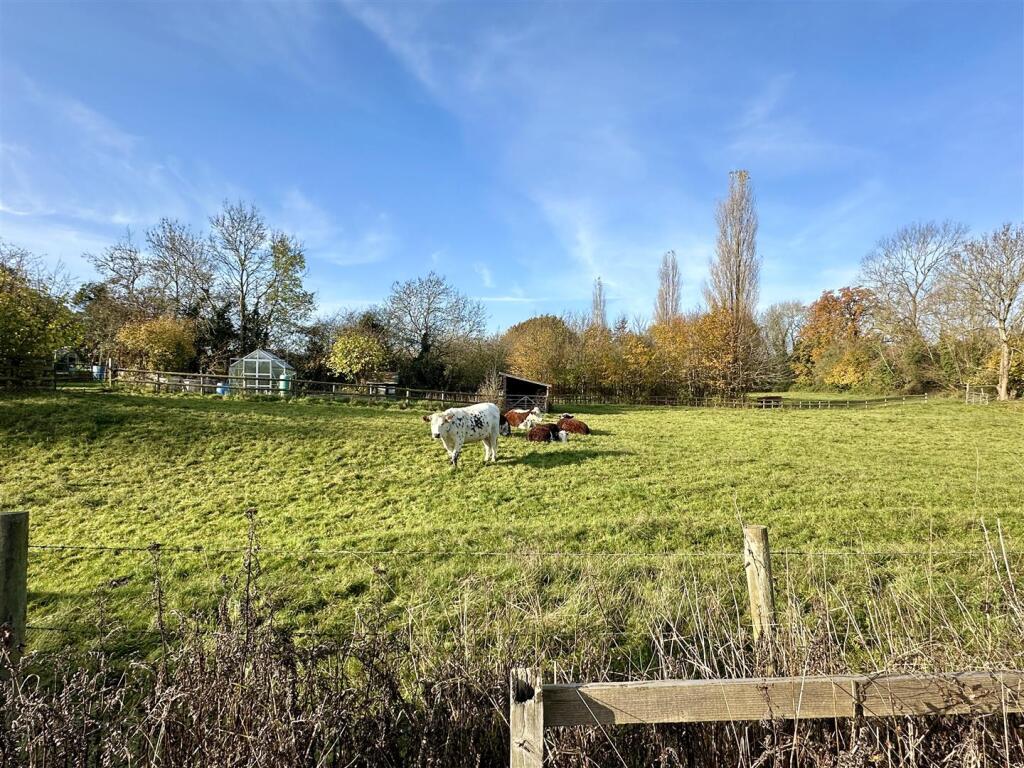 view behind garden