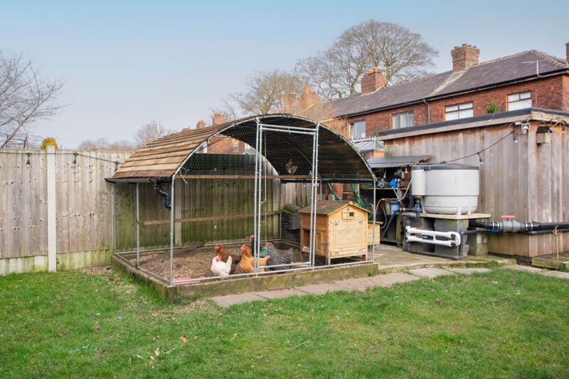Chicken Coop
