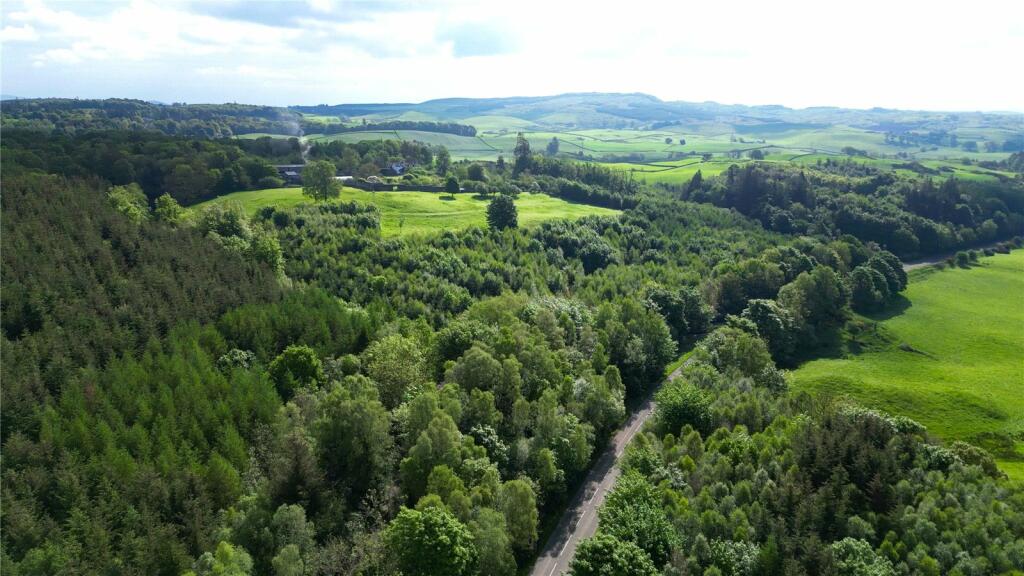 Parton Woodland