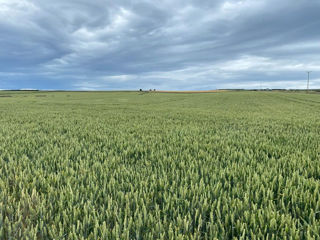 Land at Upton Farm, Loftus, Saltburn-by-the-Sea