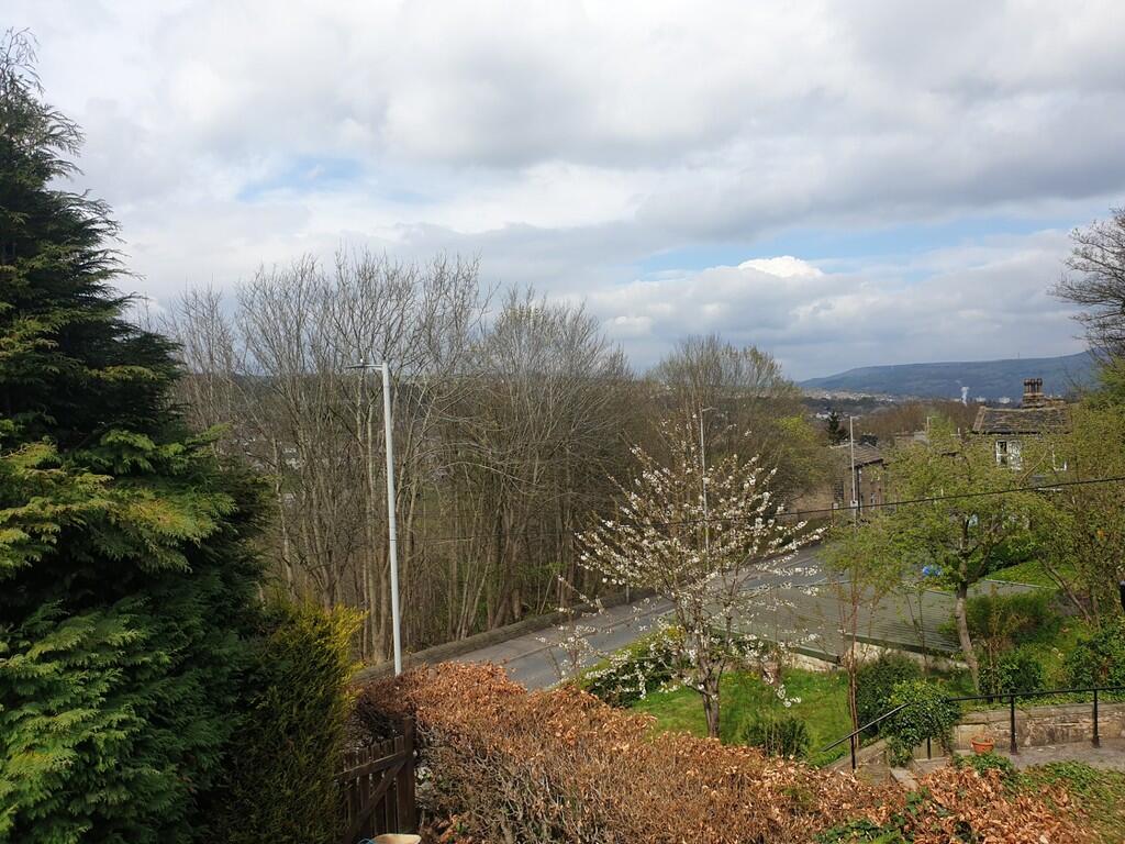 View 1