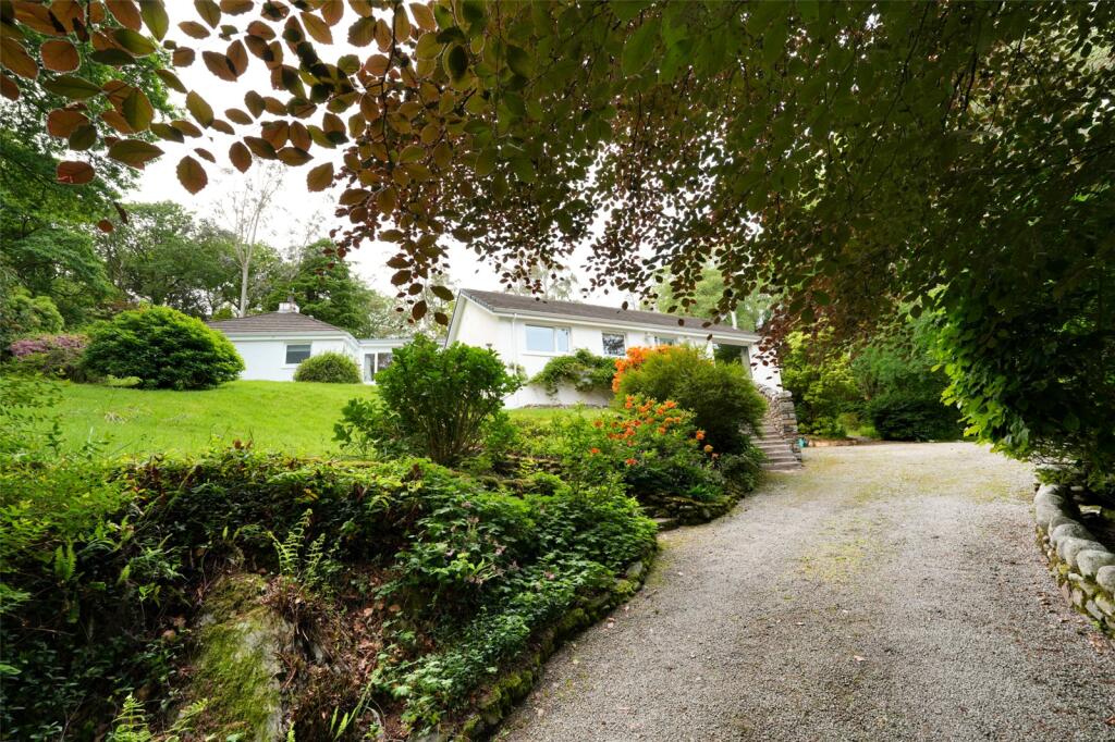 Driveway 1