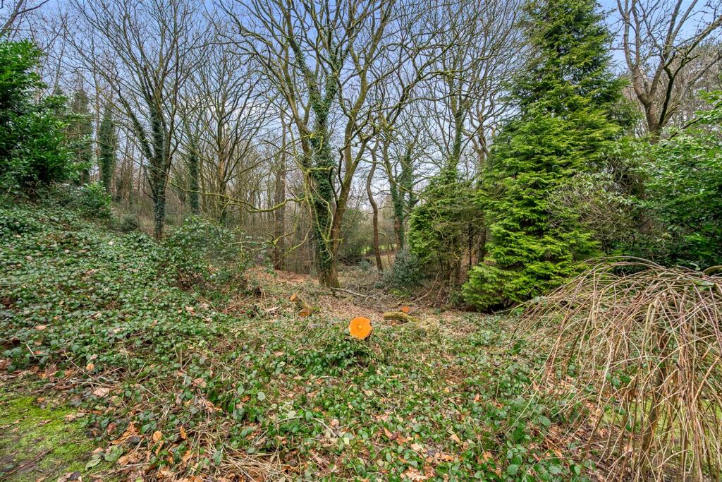 Woodland