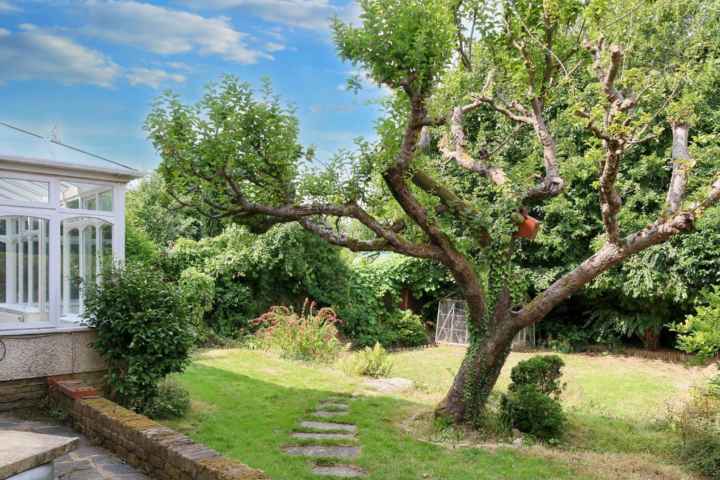 IMG_5698 (Portal Size).JPG