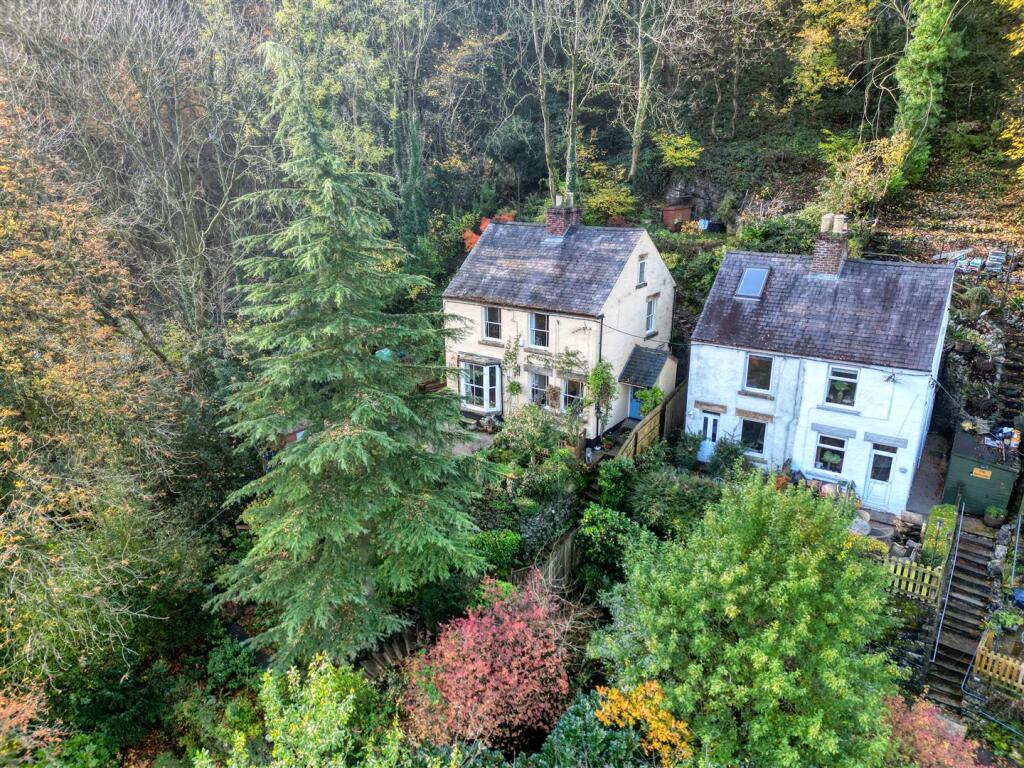 Drone - front of home and neighbouring homes.jpg