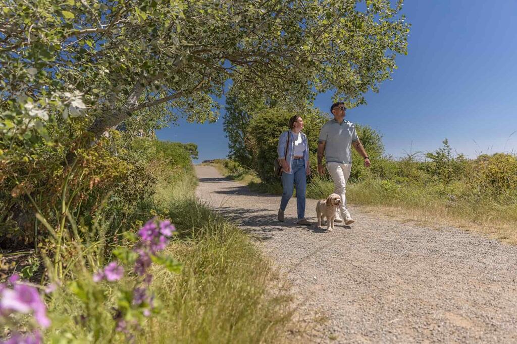 Nearby Nature Reserve,Gunners park, providies 5km of paths, a great place to escape the hustle and