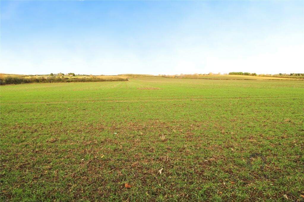 Field View