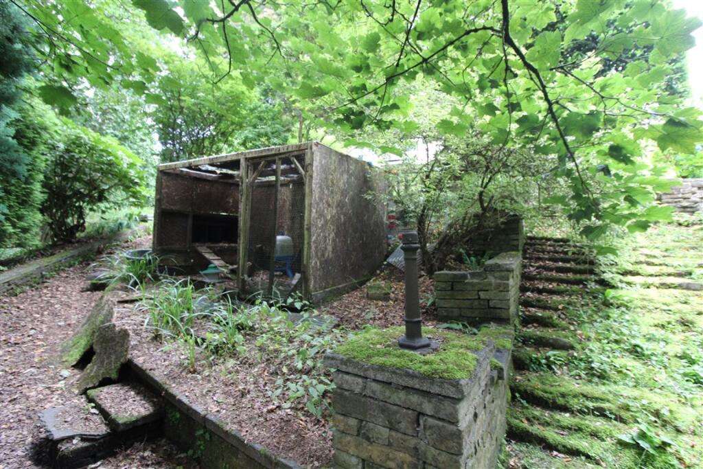 Garden 3 T202508221635.jpg