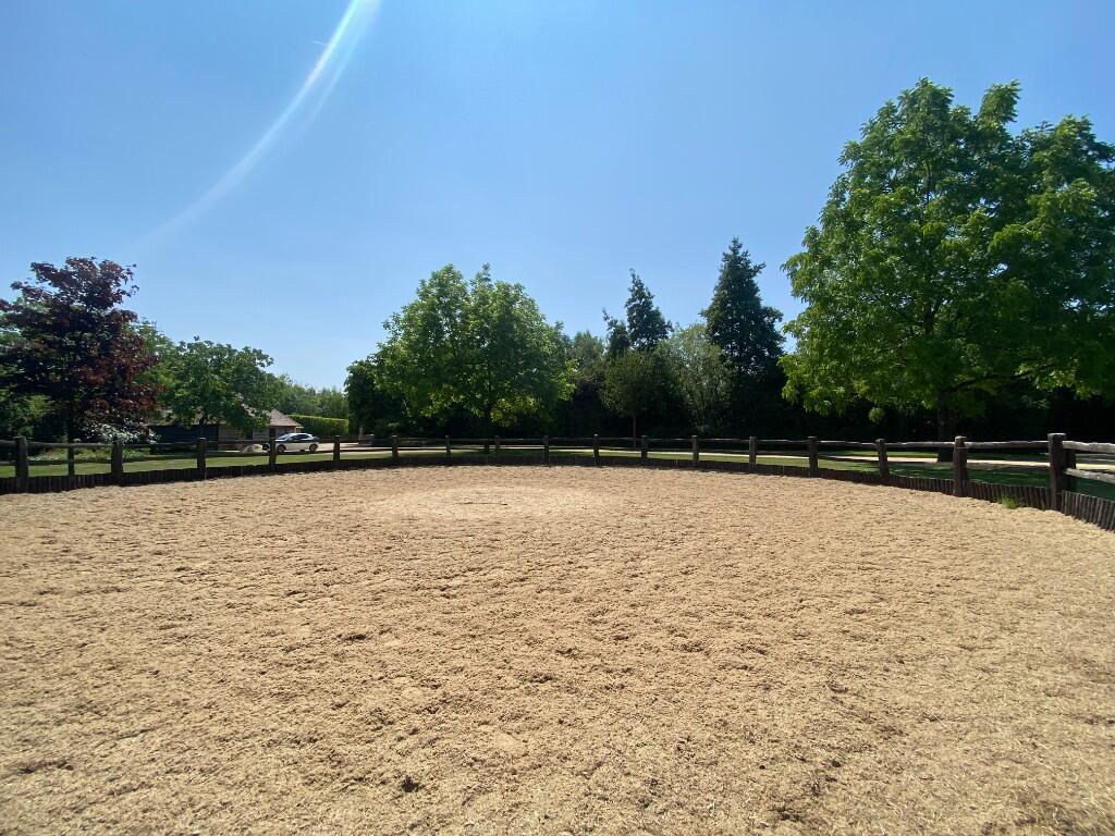 Lunge Ring