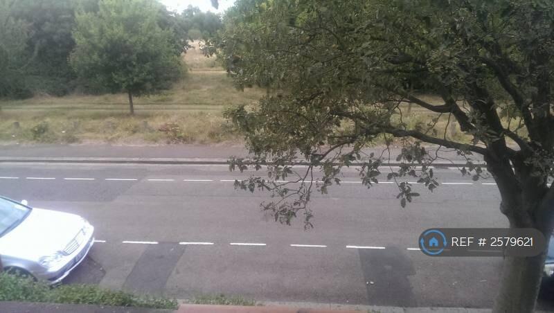 Park View From Upstairs Room